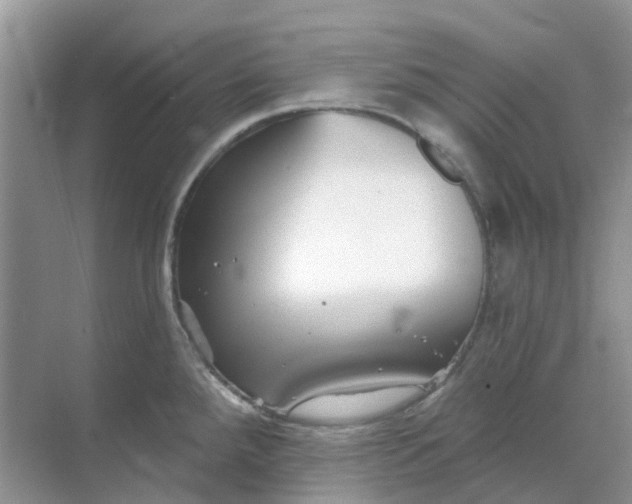 X0000069361288200605261949