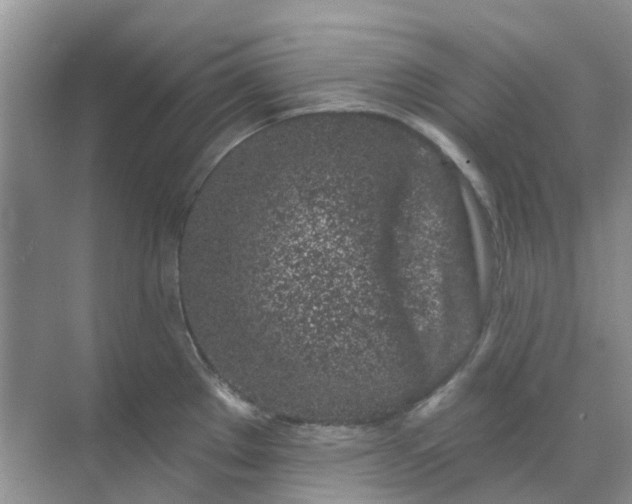 X0000069361289200605261949