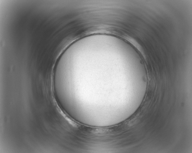 X0000069361290200605261949