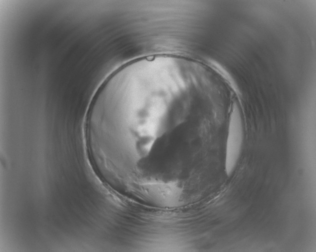 X0000069361291200605261949