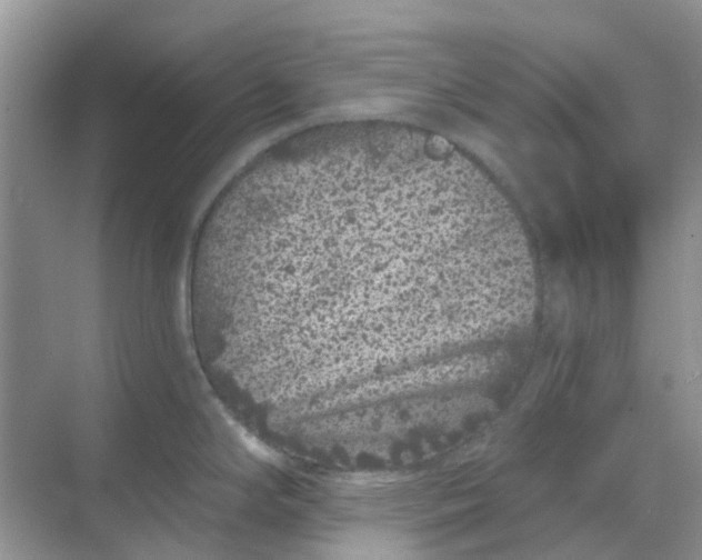 X0000069361294200605261949