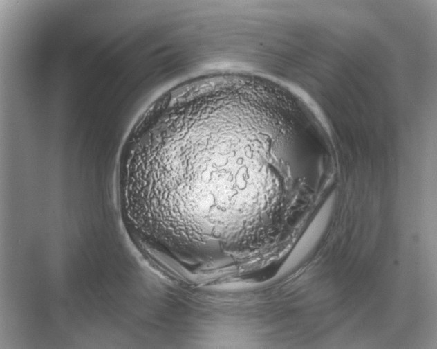 X0000069361295200605261949