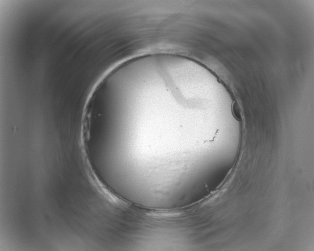 X0000069361296200605261949