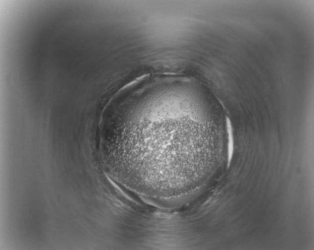 X0000069361297200605261948