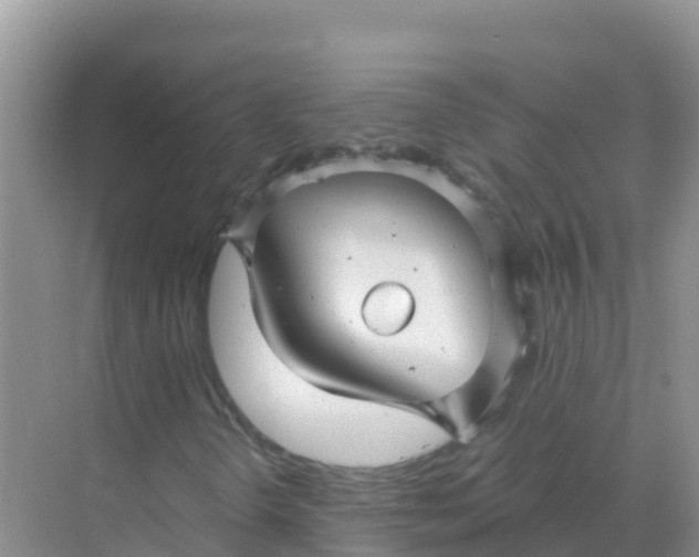 X0000069361298200605261948