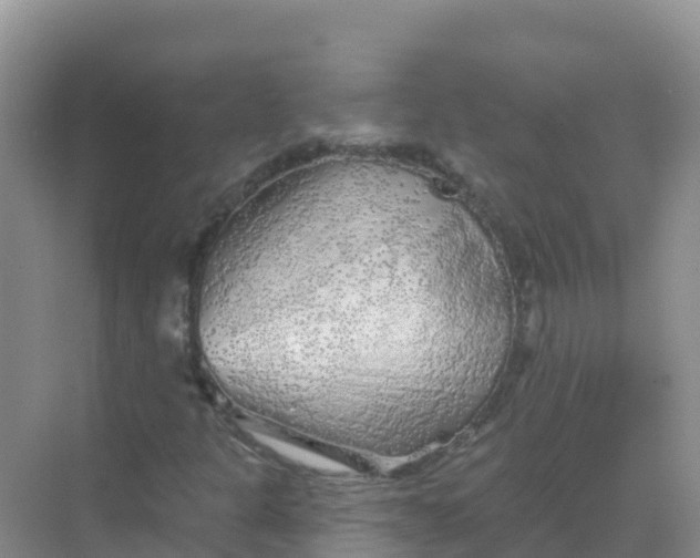 X0000069361301200605261948