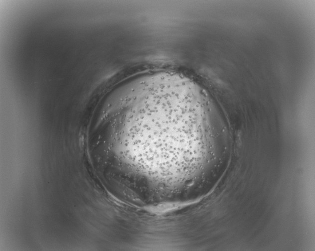 X0000069361302200605261948