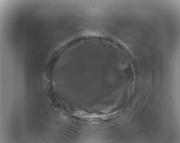 X0000069361303200605261948