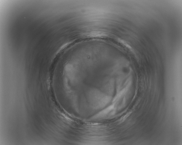 X0000069361306200605261948