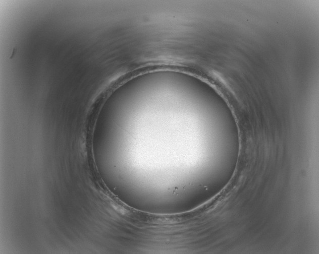 X0000069361307200605261948