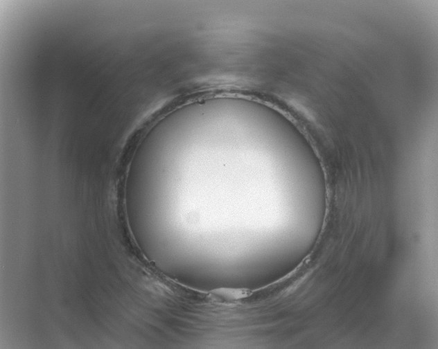 X0000069361309200605261948