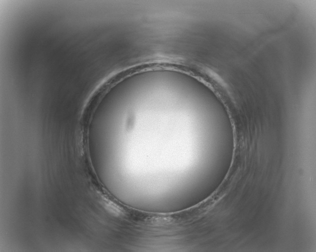 X0000069361310200605261948