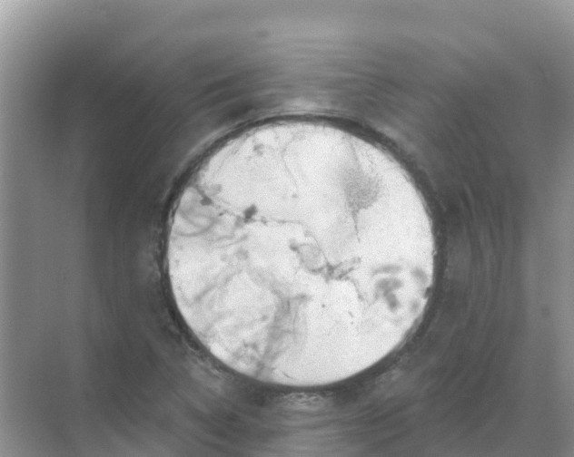 X0000069361314200605261948