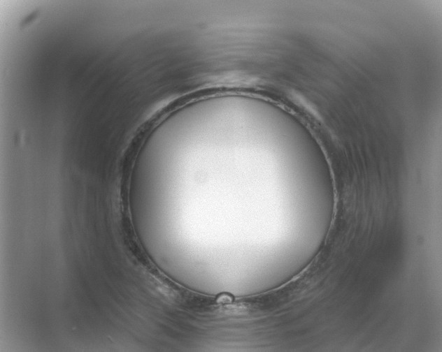 X0000069361315200605261948