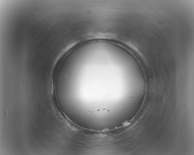 X0000069361317200605261948