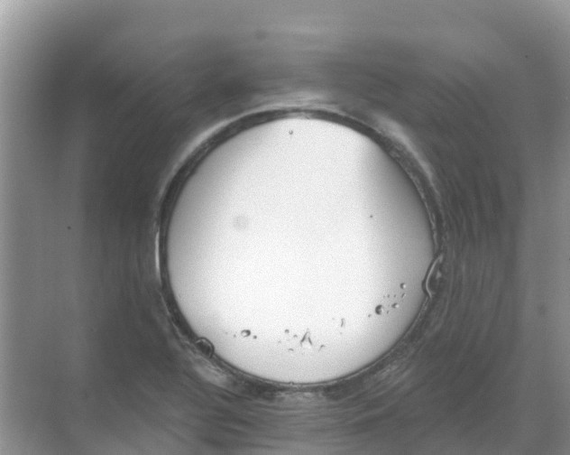 X0000069361320200605261948