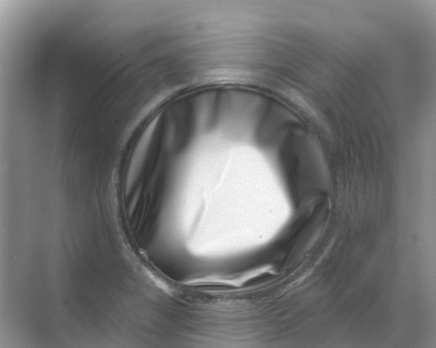 X0000069361325200605261948