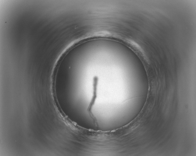 X0000069361326200605261948