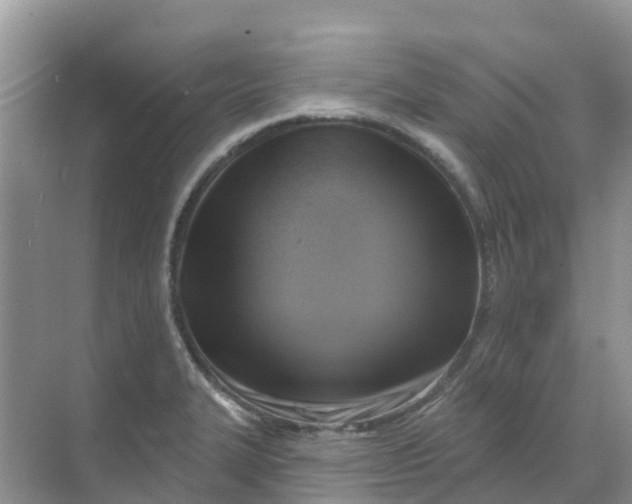 X0000069361327200605261948