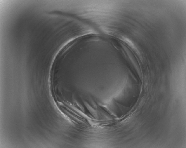 X0000069361331200605261949