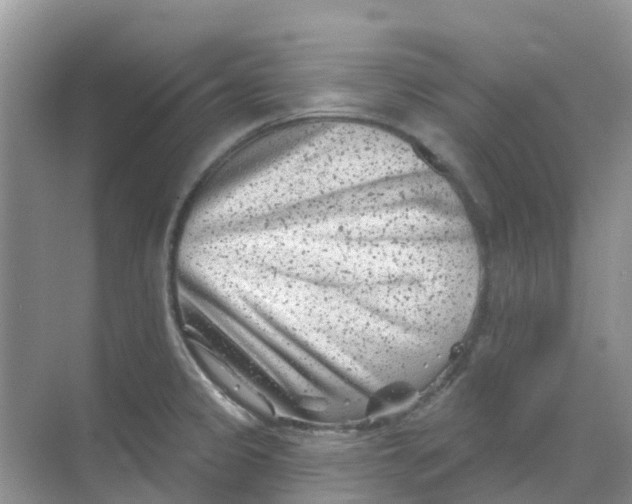 X0000069361333200605261949