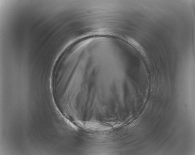 X0000069361334200605261949