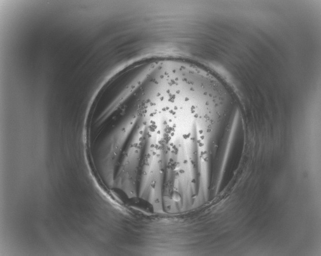 X0000069361335200605261949