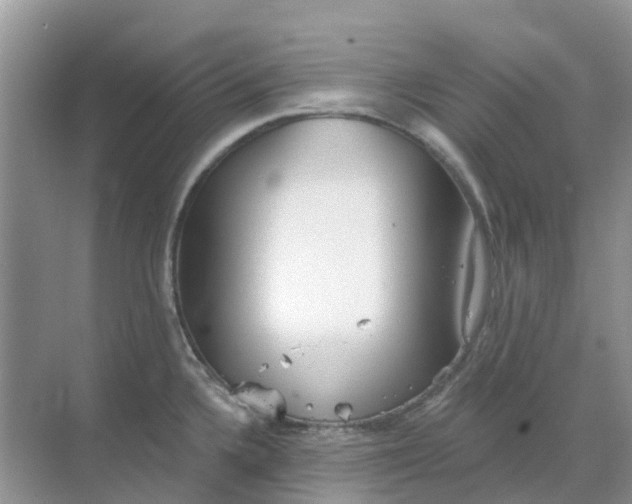 X0000069361336200605261949