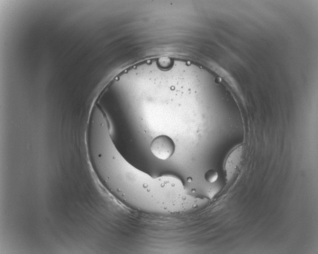 X0000069361338200605261949