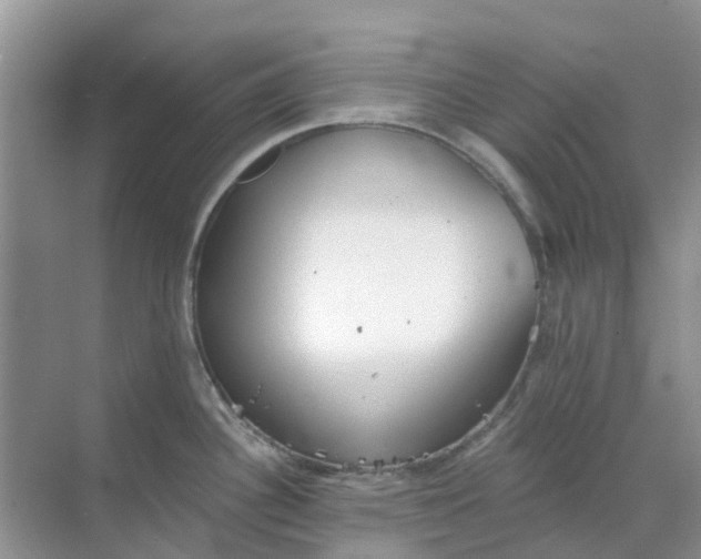 X0000069361340200605261949