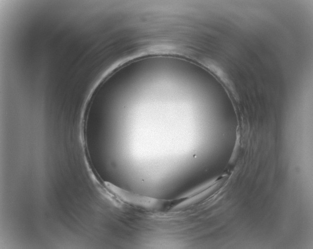 X0000069361342200605261949