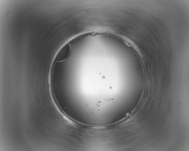 X0000069361343200605261949