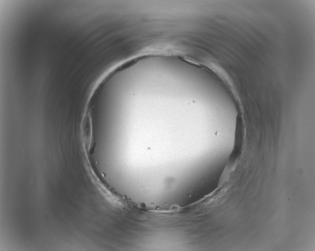 X0000069361344200605261949