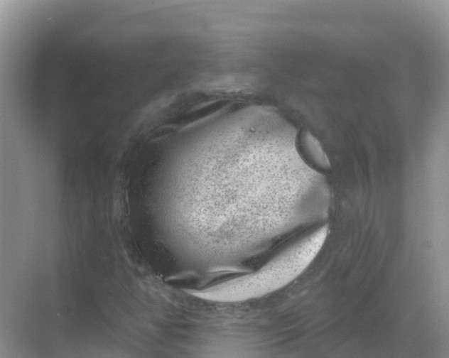 X0000069361350200605261948