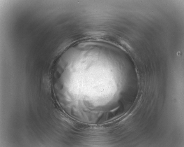 X0000069361354200605261948