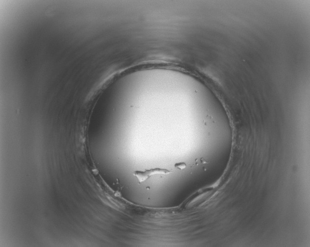 X0000069361355200605261948