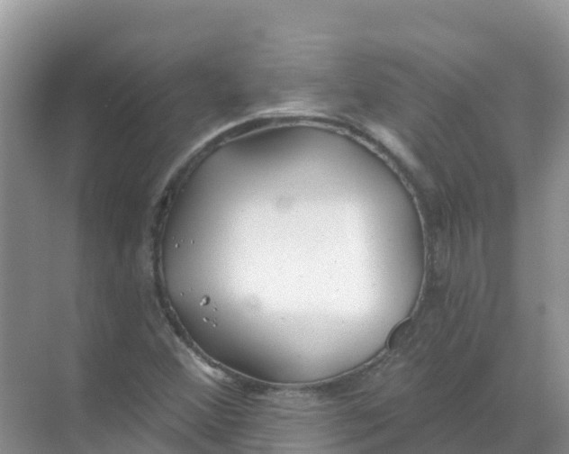 X0000069361356200605261948