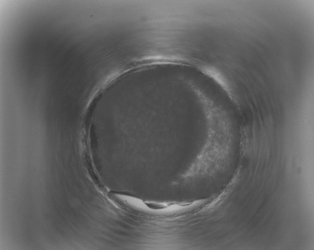 X0000069361357200605261948