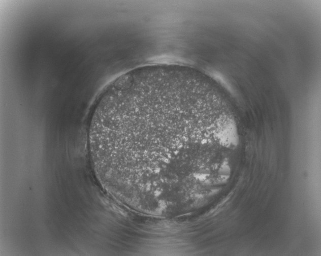 X0000069361358200605261948