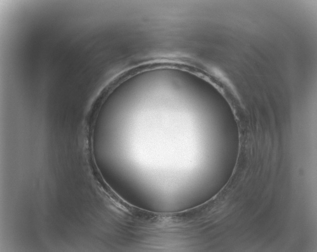 X0000069361360200605261948