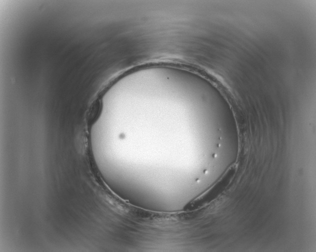 X0000069361363200605261948