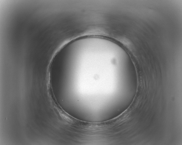 X0000069361366200605261948