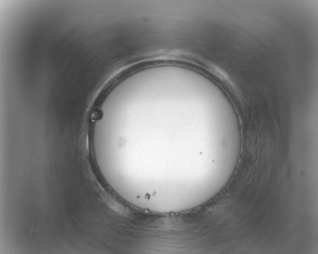 X0000069361368200605261948