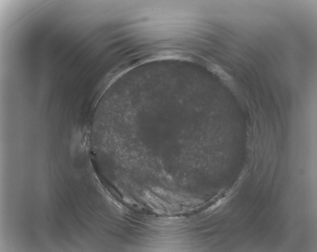 X0000069361369200605261948