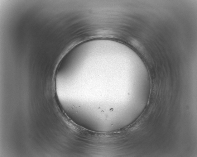 X0000069361370200605261948