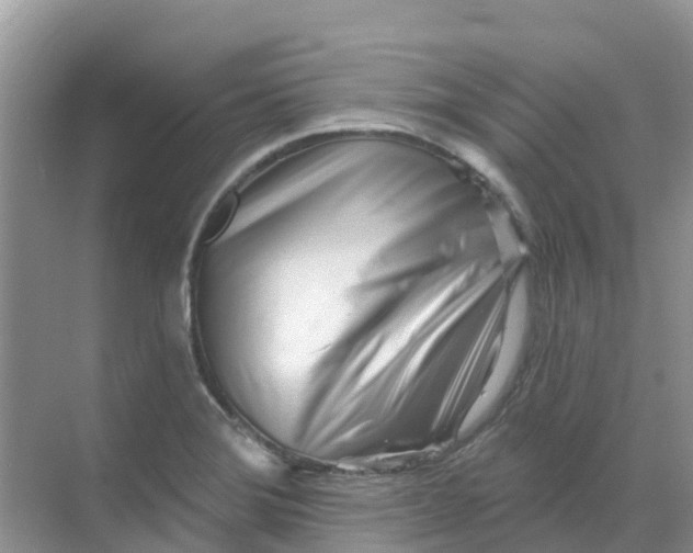 X0000069361372200605261948