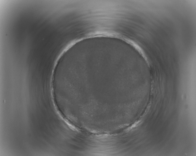 X0000069361373200605261947