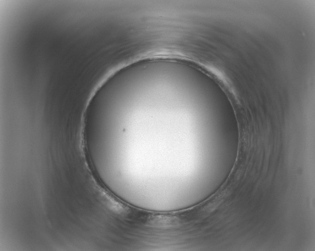 X0000069361374200605261947