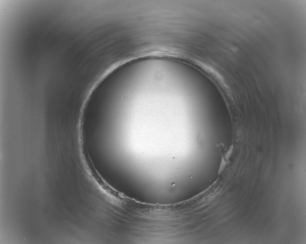 X0000069361375200605261947