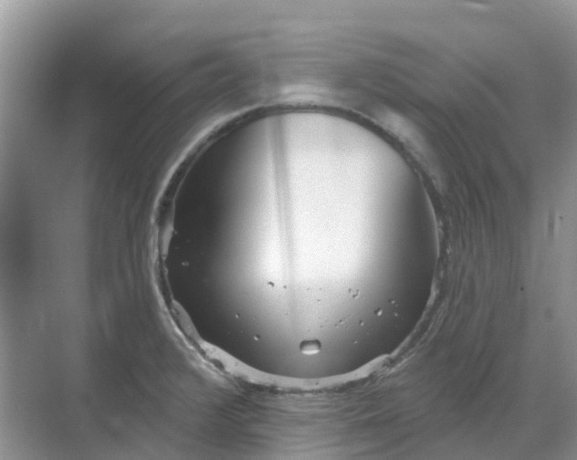 X0000069361376200605261947